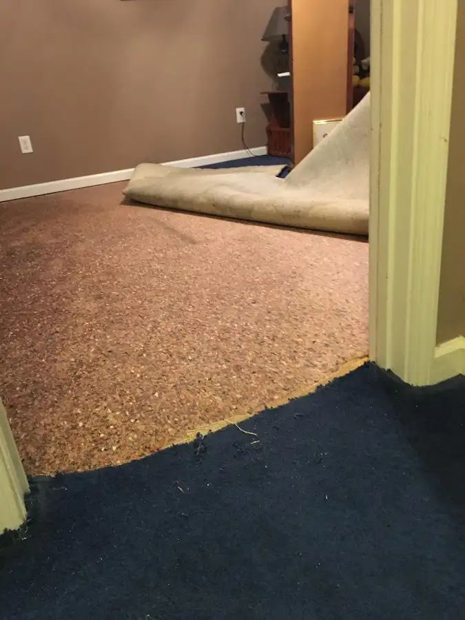 Carpet pad removal revealing water damage during Drying & Dehumidification in East Goshen